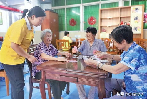 肇庆市养老服务条例 9月1日起施行,三大焦点问题引关注